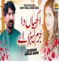 Zaigham Abbas Dard mp3 songs download,Zaigham Abbas Dard Albums and top 20 songs download