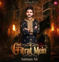 Download Teri Fitrat Mein Salman Ali mp3 song, Teri Fitrat Mein Salman Ali full album download