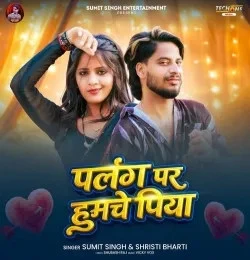 Download Palang Par Humche Piya Sumit Singh, Shristi Bharti mp3 song, Palang Par Humche Piya Sumit Singh, Shristi Bharti full album download