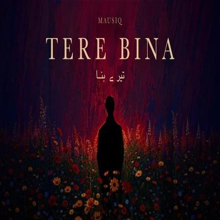 Download Tere Bina Mausiq, Ananya Mishra mp3 song, Tere Bina Mausiq, Ananya Mishra full album download