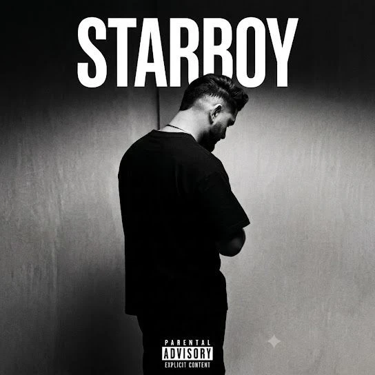 Download Starboy Prince Dandiwal mp3 song, Starboy Prince Dandiwal full album download