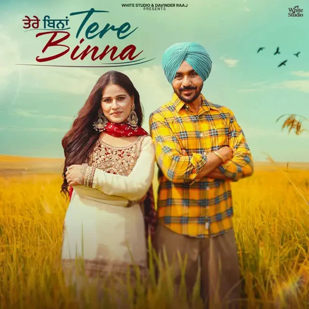 Download Tere Binna Gurvinder Brar, Sudesh Kumari mp3 song, Tere Binna Gurvinder Brar, Sudesh Kumari full album download